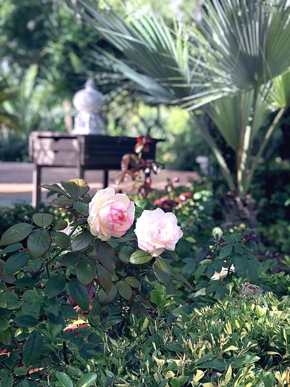 Villa Marrone - Relais - マルサラ エクステリア 写真